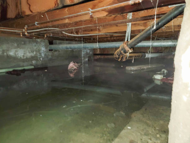Best Flooded house restoration  in Treasure Lake, PA