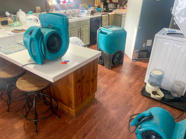Best 24/7 water damage repair  in Treasure Lake, PA