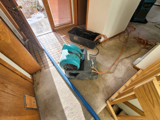  Treasure Lake, PA Water damage restoration Pros