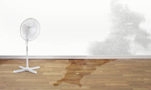 Best Emergency water damage restoration  in Treasure Lake, PA