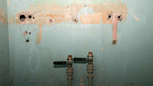 Best Mold removal after water damage  in Treasure Lake, PA