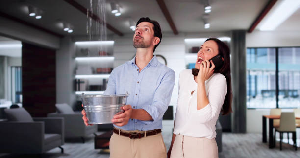 Best Professional water damage repair  in Treasure Lake, PA