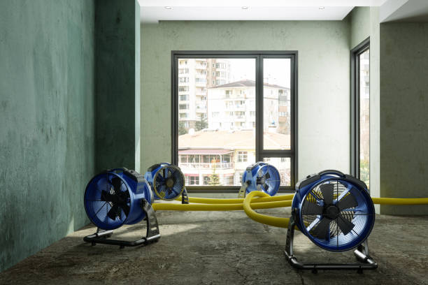 Best Carpet water damage restoration  in Treasure Lake, PA